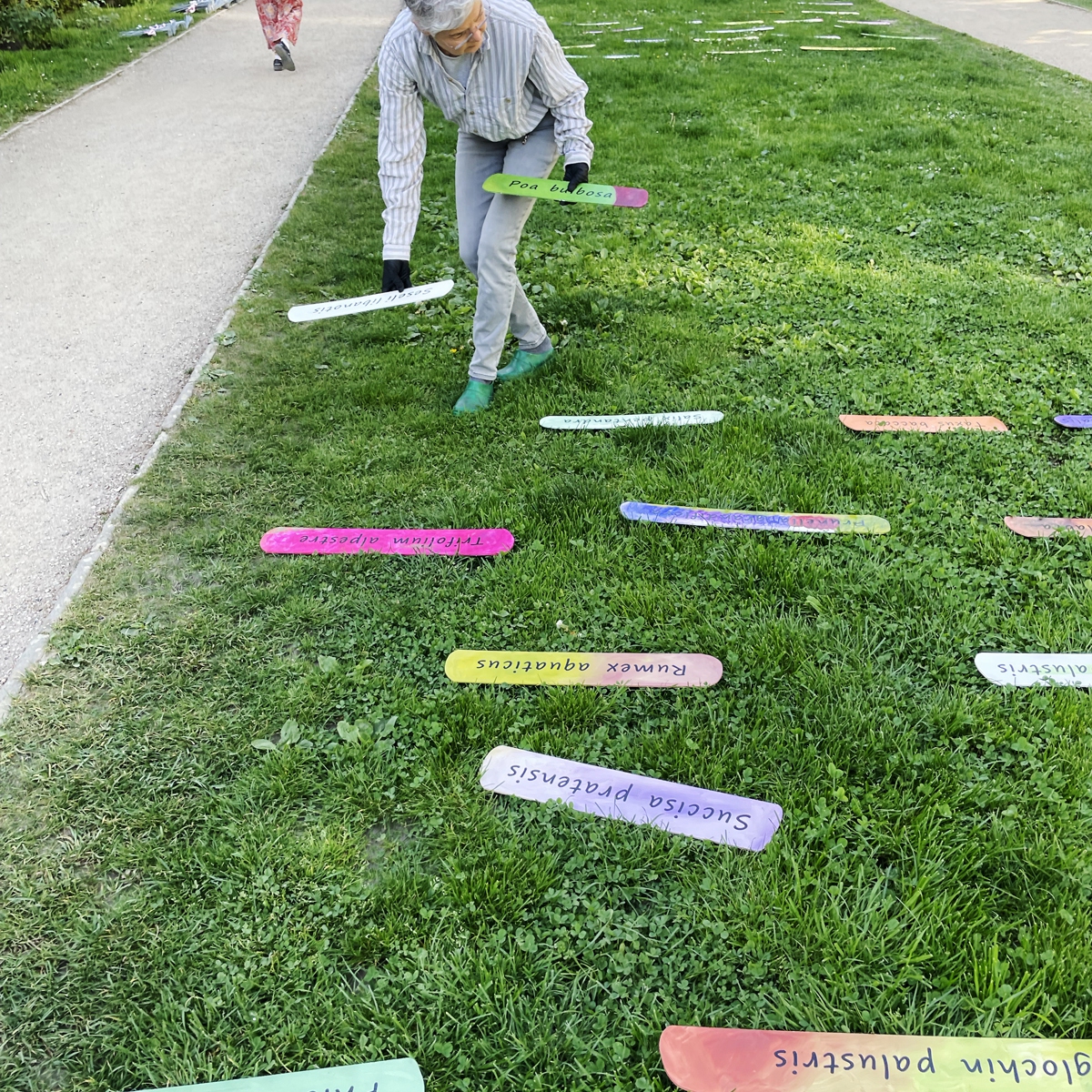 Auslegen der Tafeln wie eine Zeichnung auf der Parkwiese