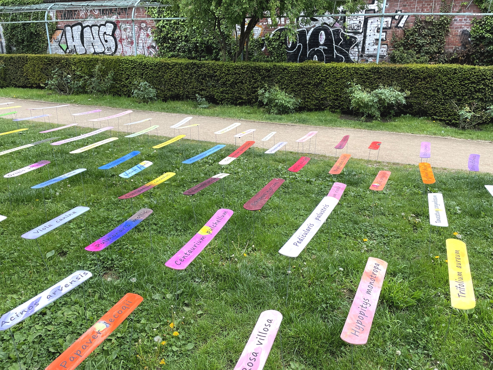 Der Berliner Park  liegt direkt an der ehemaligen Mauergrenze. Jetzt am Mauerweg, der von sehr vielen Anwohnern aus Berlin Mitte besucht wird.