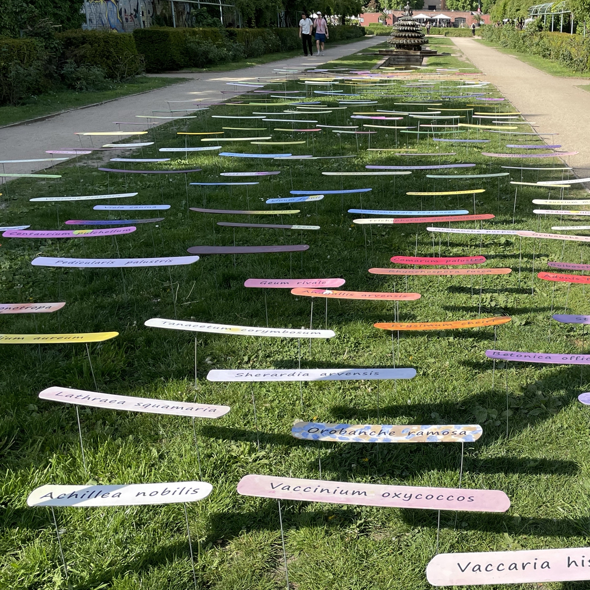 Be(e) here,  in Berlin am Engelbecken, eingetaucht  im Nachmittagslicht.