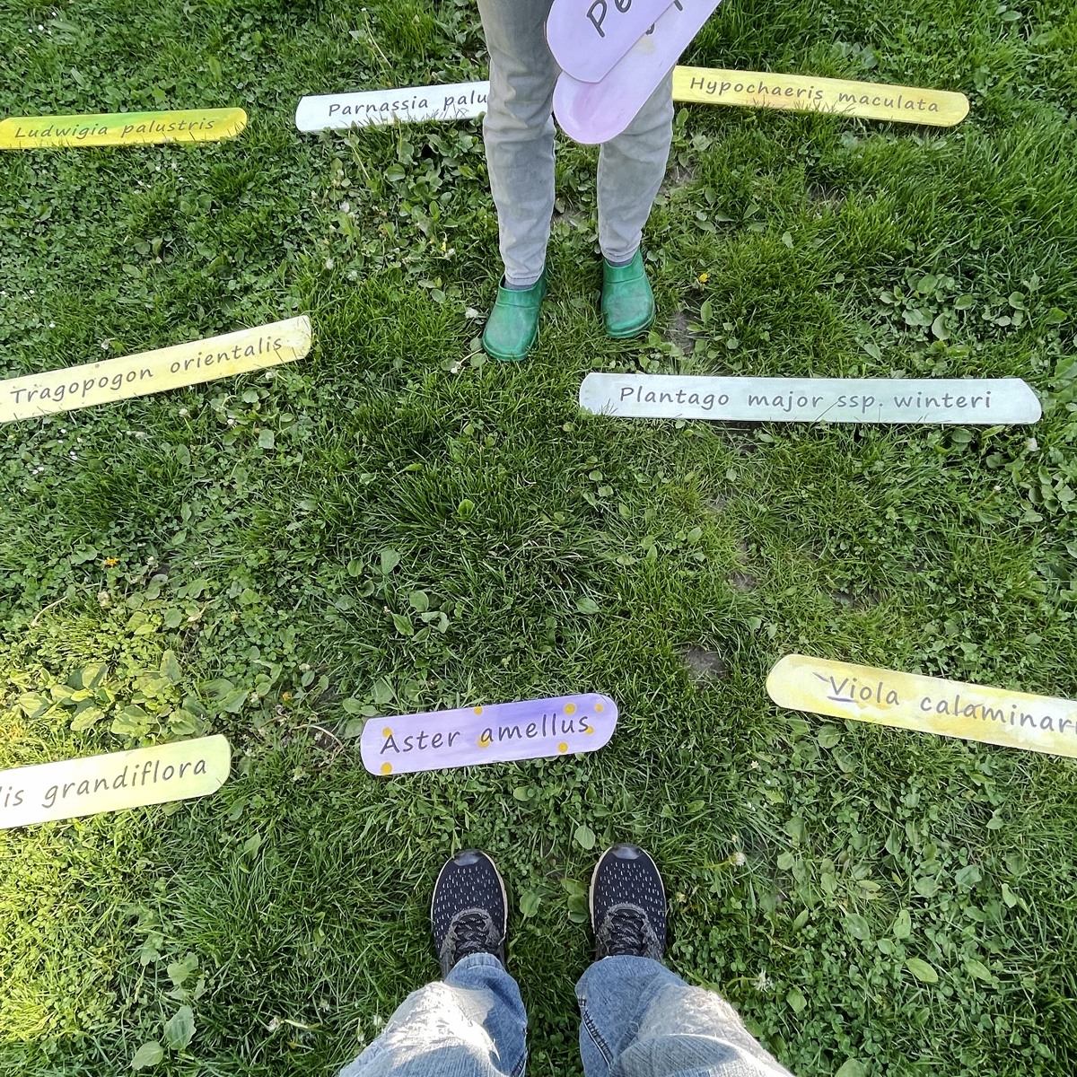 Aufbauhilfe durch meinen Mann Peter Hochscheid