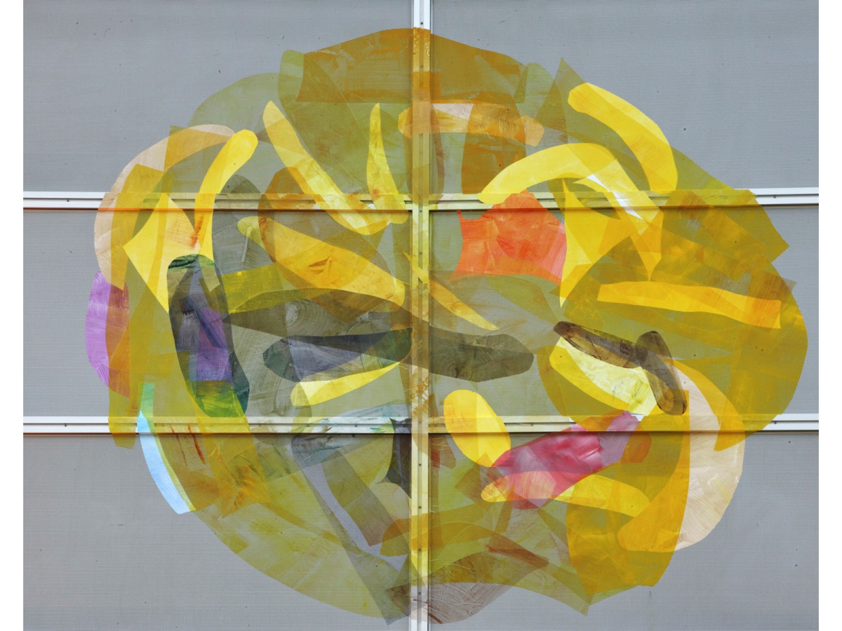 Ines Hock, Splendid Colors, 2010  1 Segment