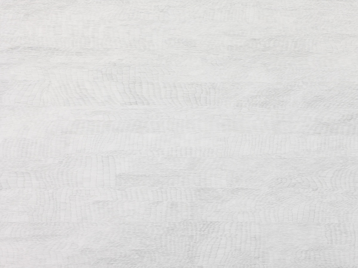 Ines Hock, Z 2007 -A  Detail  155 x 225 cm